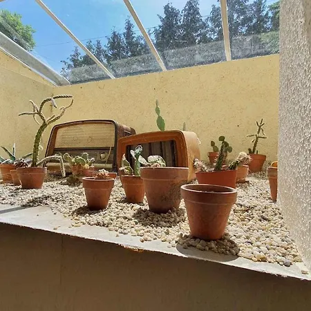 Apartmán Siofok, Lake Balaton 16