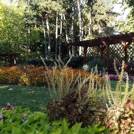 Siofok, Balaton 16 * 시오포크